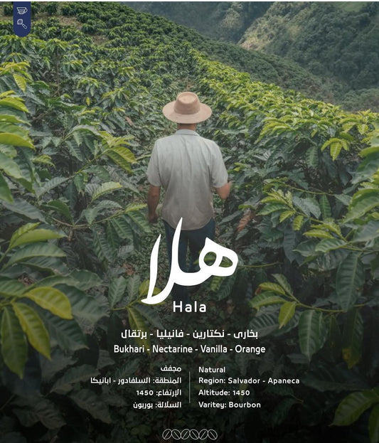 هلا - سلفادوري مجفف 250 جرام